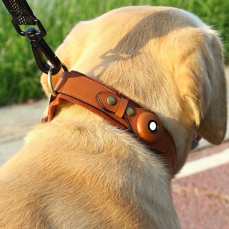 Premium Leather Dog Collar With Location Tracking
