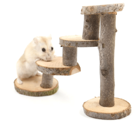 Wooden Apple Wood Hamster Climbing Ladder Toy