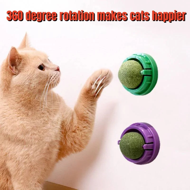 Healthy Catnip Wall Balls