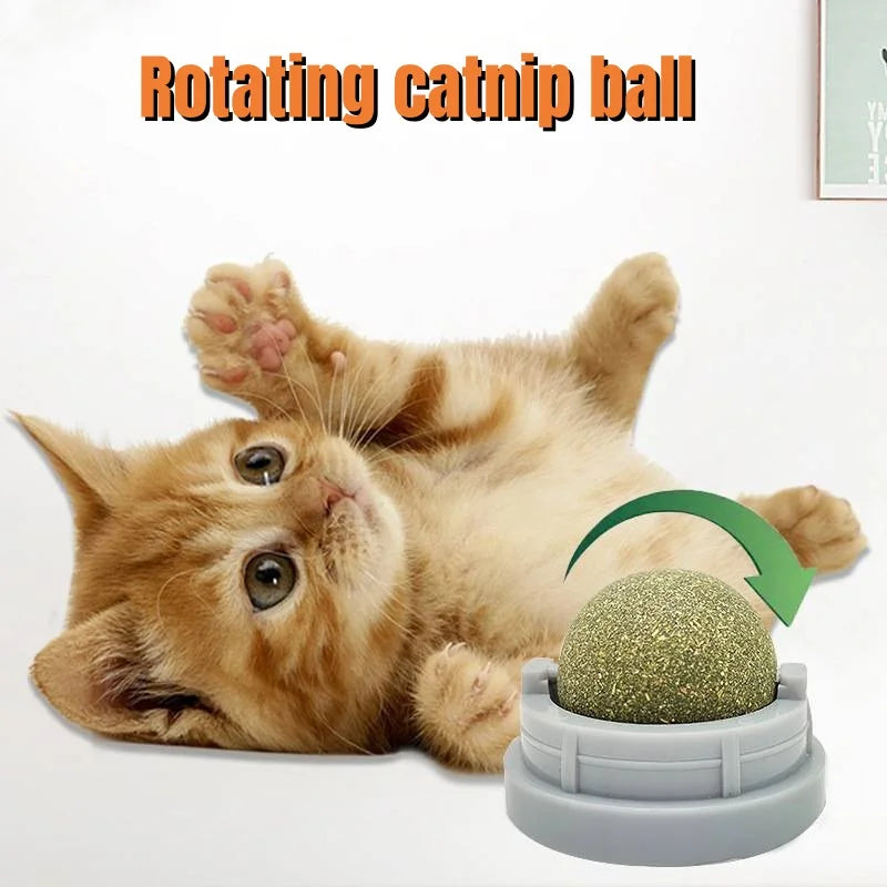 Healthy Catnip Wall Balls