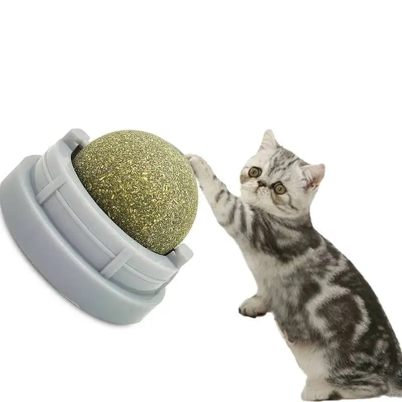 Healthy Catnip Wall Balls