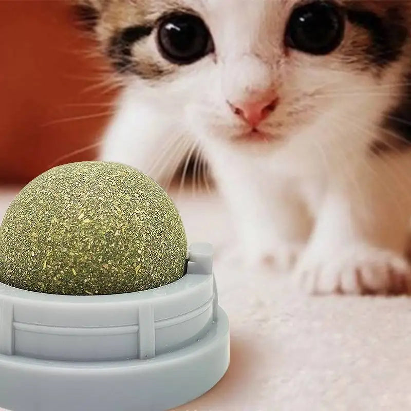Healthy Catnip Wall Balls