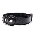 Premium Leather Dog Collar With Location Tracking