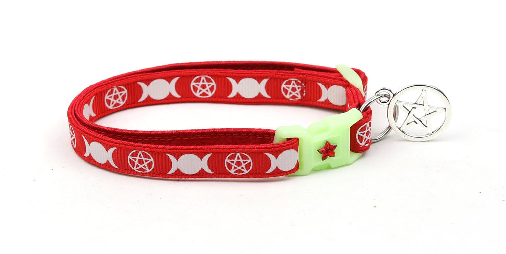 Witch's Familiar on Red Cat Collar